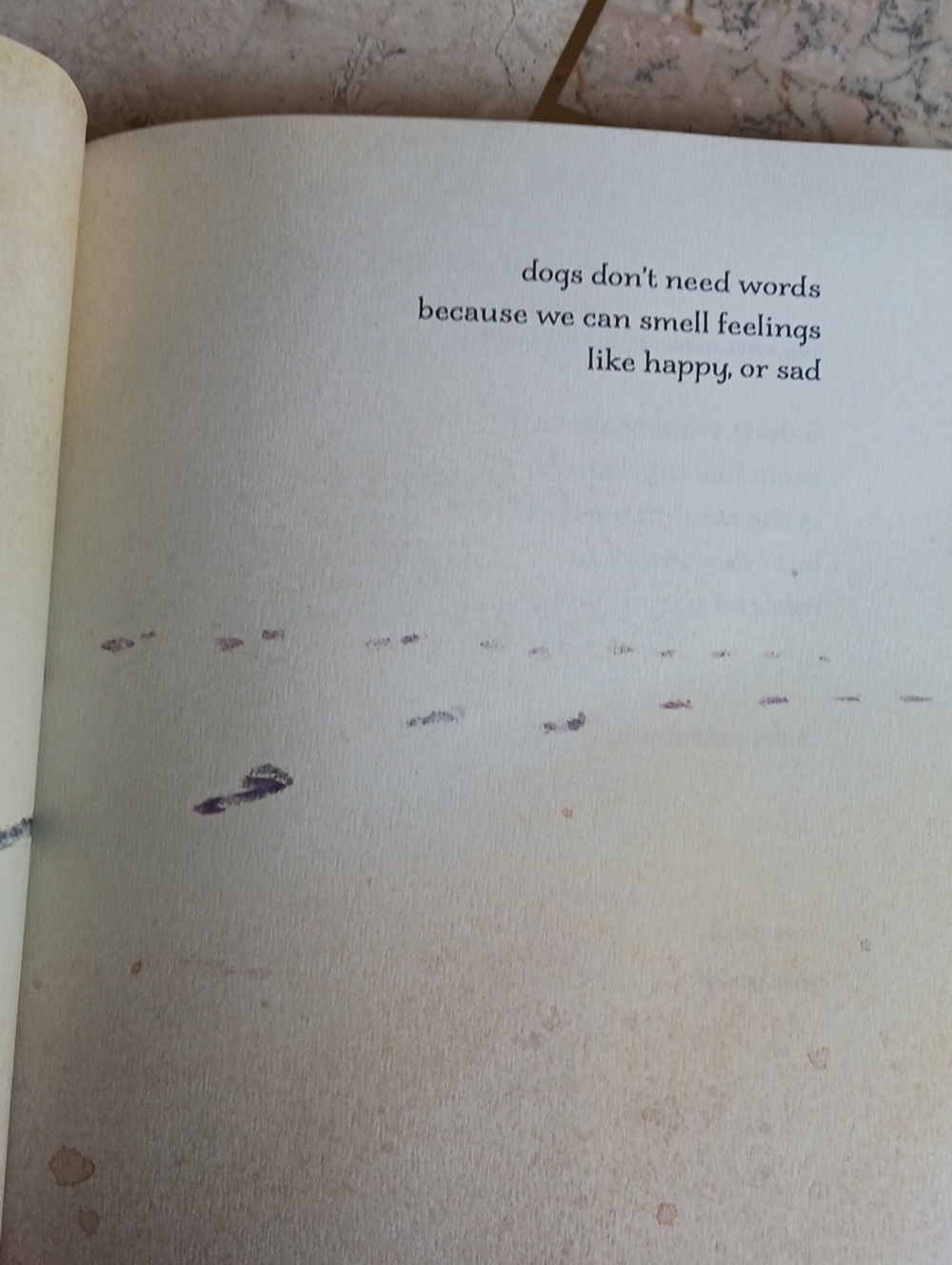 Book- I'm Still here...a Dogs Purpose Forever..(New Book)... - Picture 7 of 12